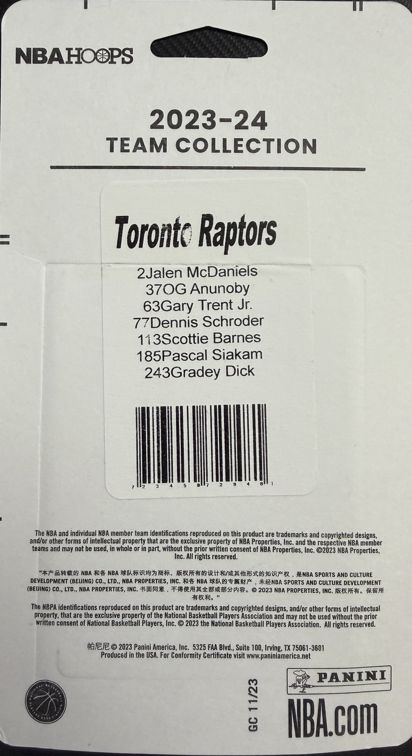 TORONTO RAPTORS TEAM COLLECTION — back
